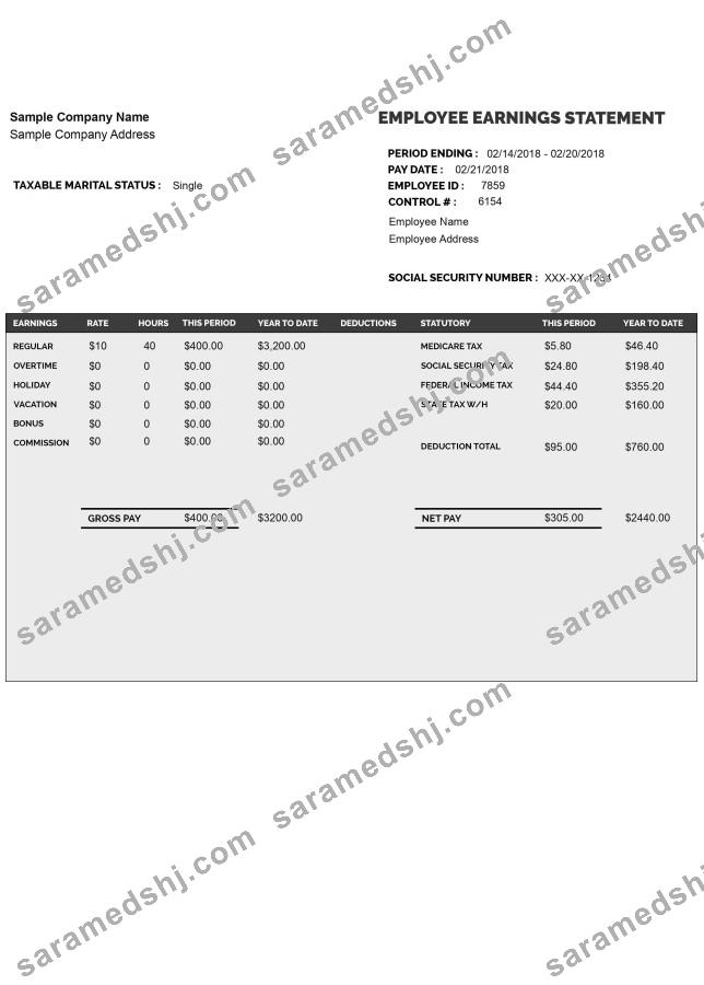EMPLOYEE earnings statement template Word and PDF format
